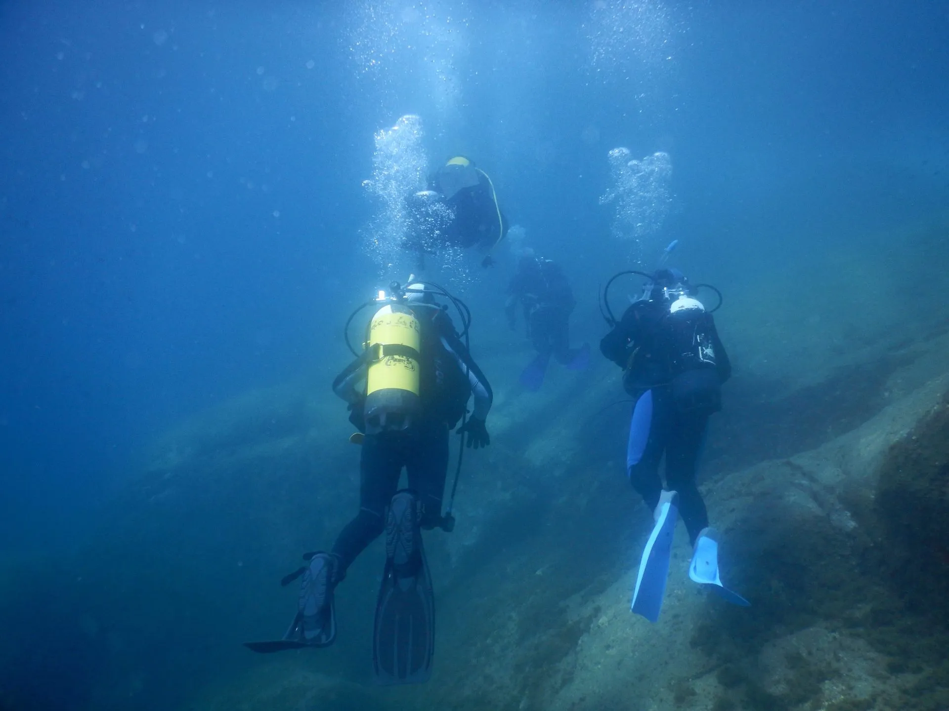 GAM - guida ambientale marina 3