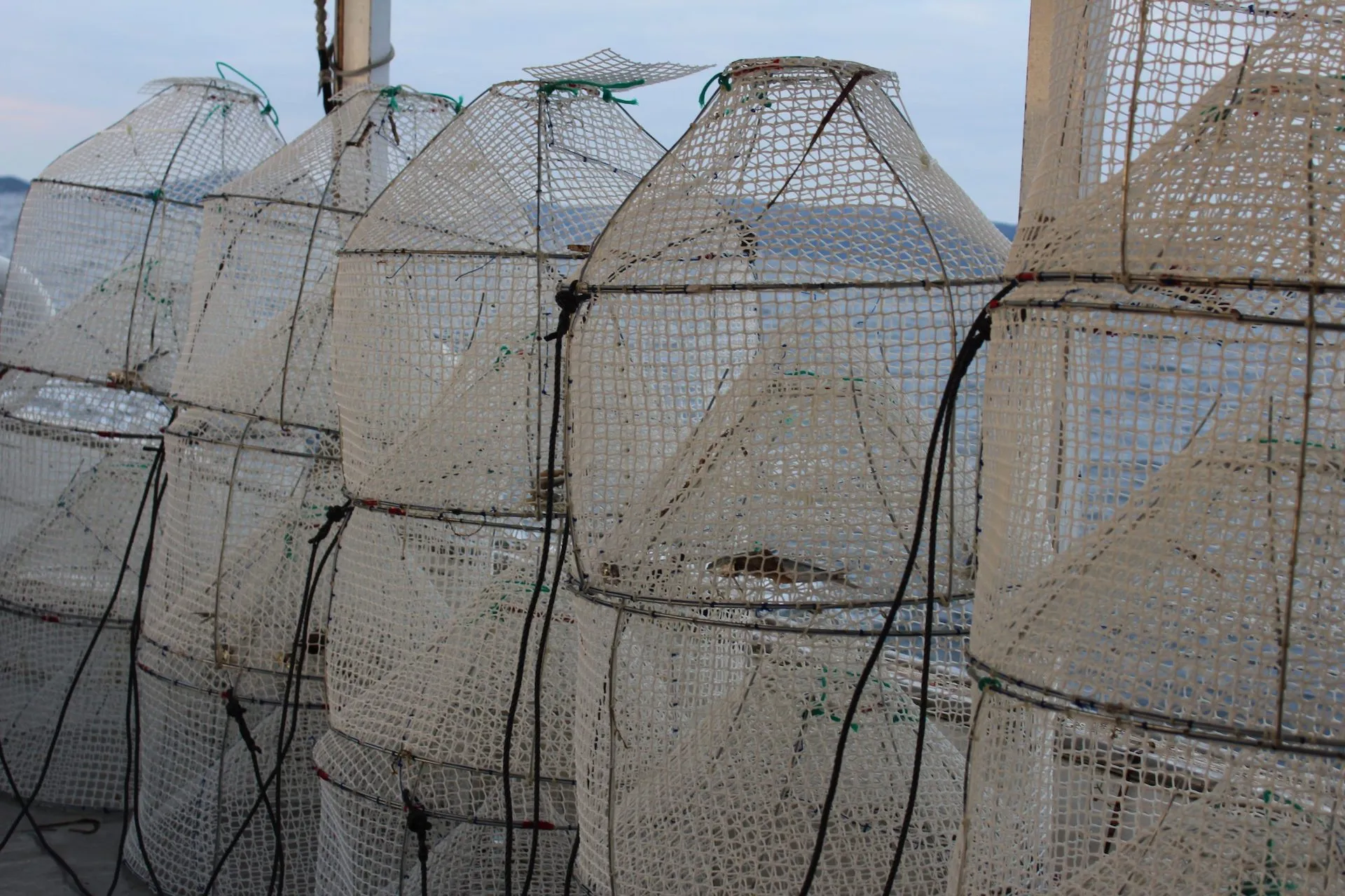Nuove metodologie di pesca 2