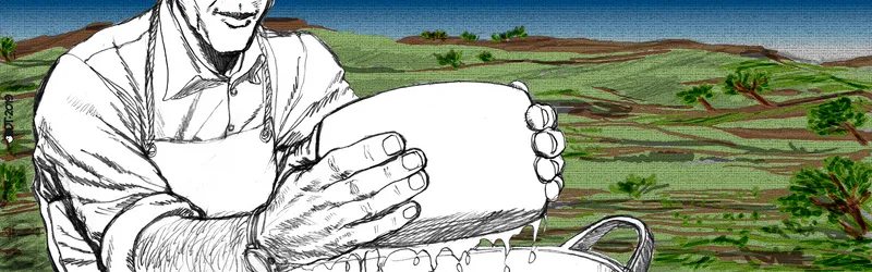Esperienza e Formazione